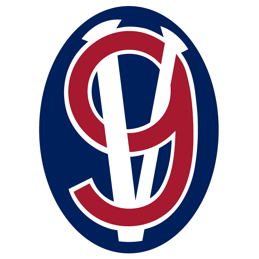 95th Division Insignia