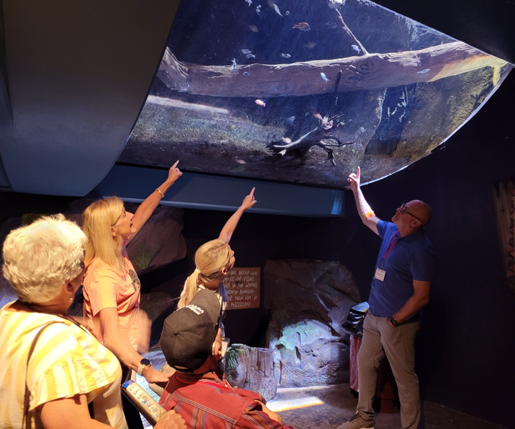 Members of the Bauer family check out the residents in the Georgia Aquarium.