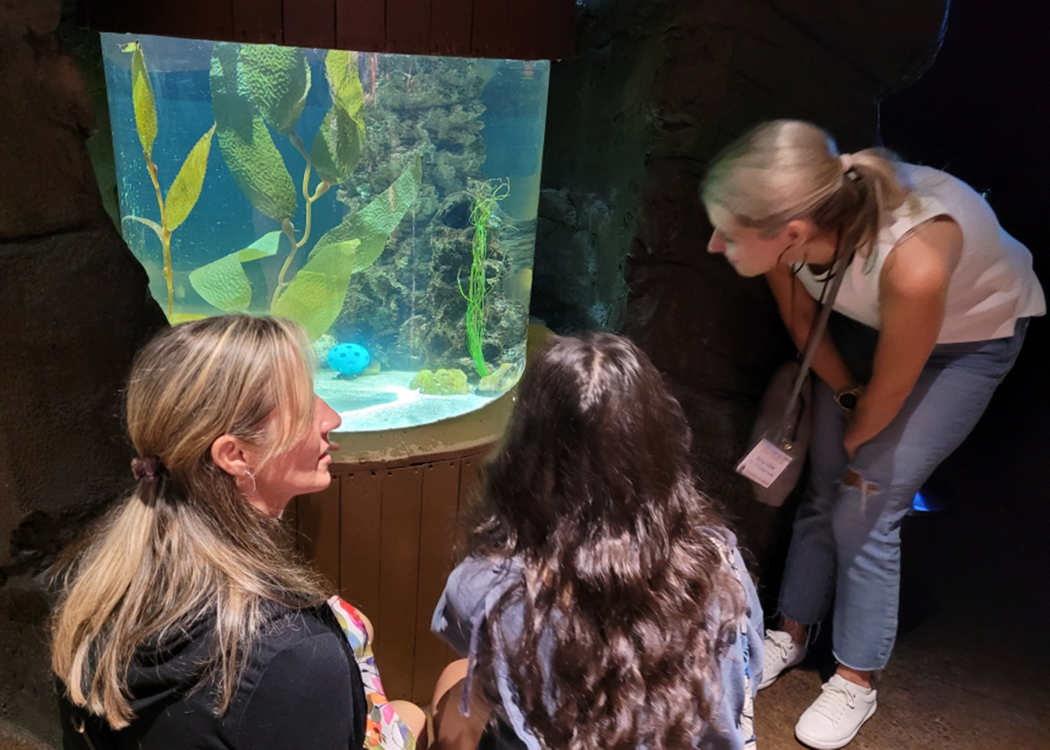 Tanya and Kristen Chang and Amy Uthe examine the marine life in a tank in the Georgia Aquarium.