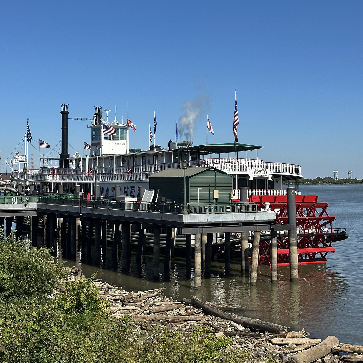 Nearly 30 people in our group took a steamboat cruise on the Natchez. We enjoyed a sightseeing cruise with lunch.